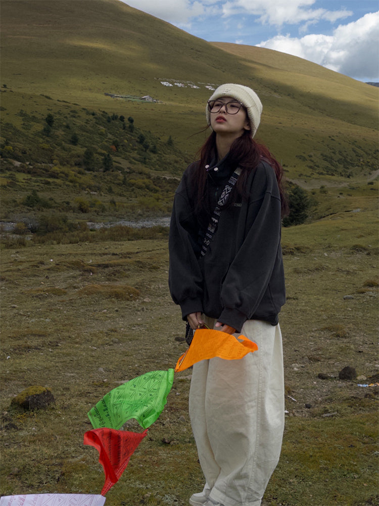 ハーフジッププルオーバースウェット N160