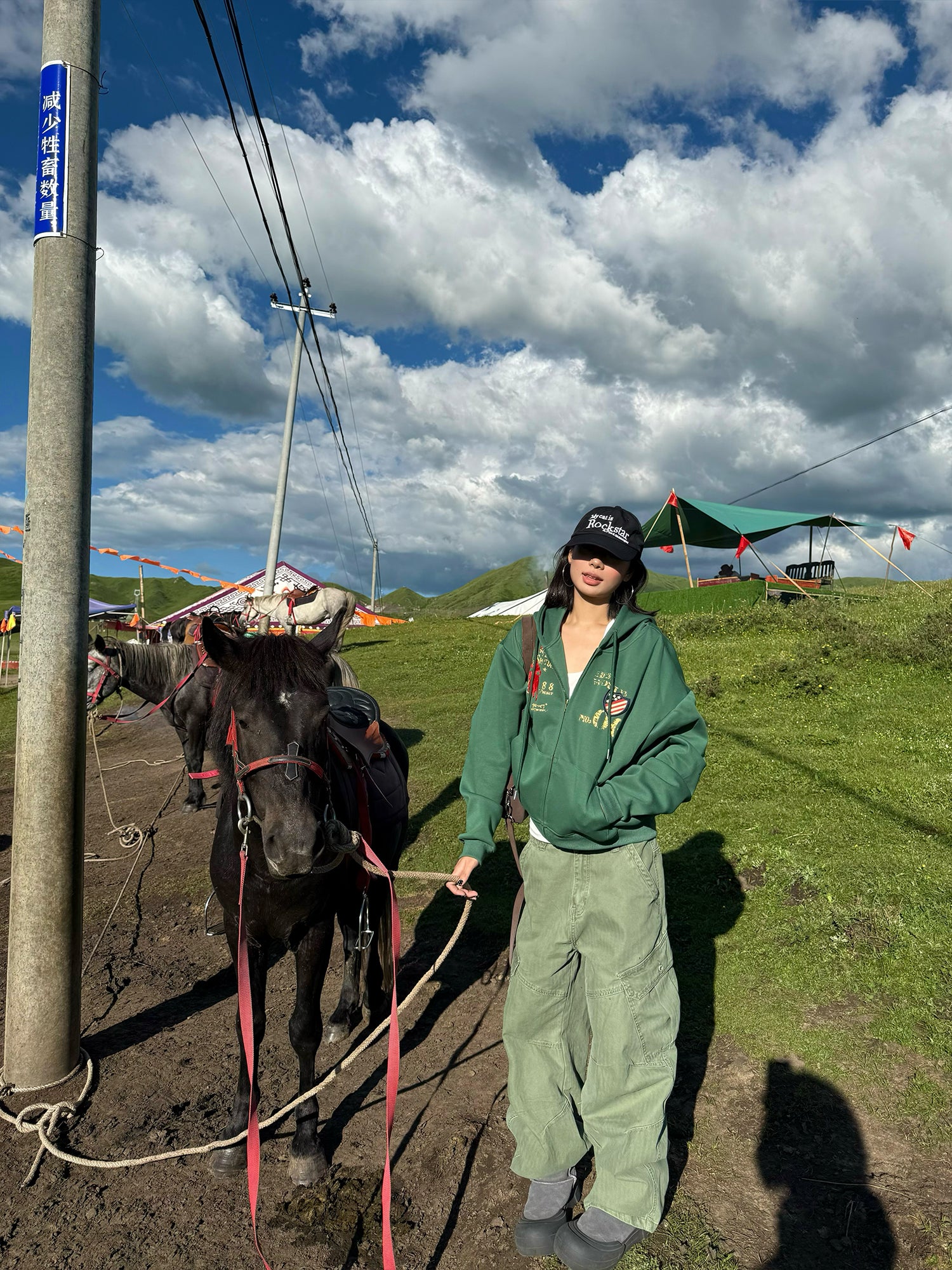 刺繍プリントスウェットパーカー N540