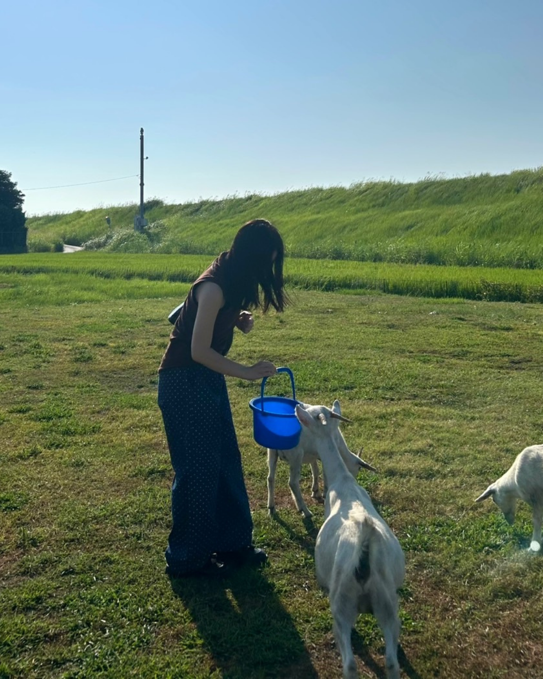 スター柄ストレートパンツ VL001