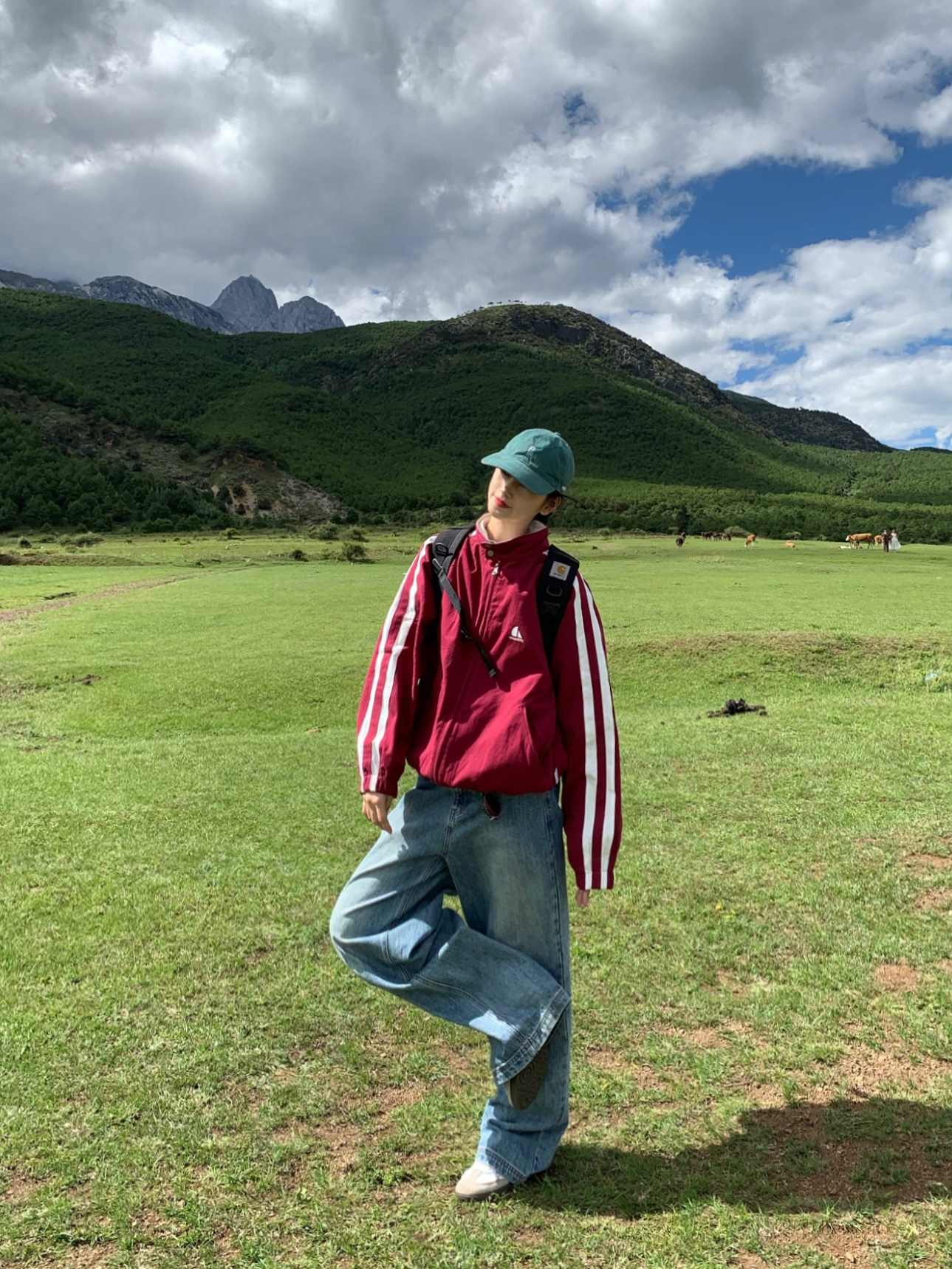 スタンドカラースポーティージャケット N110