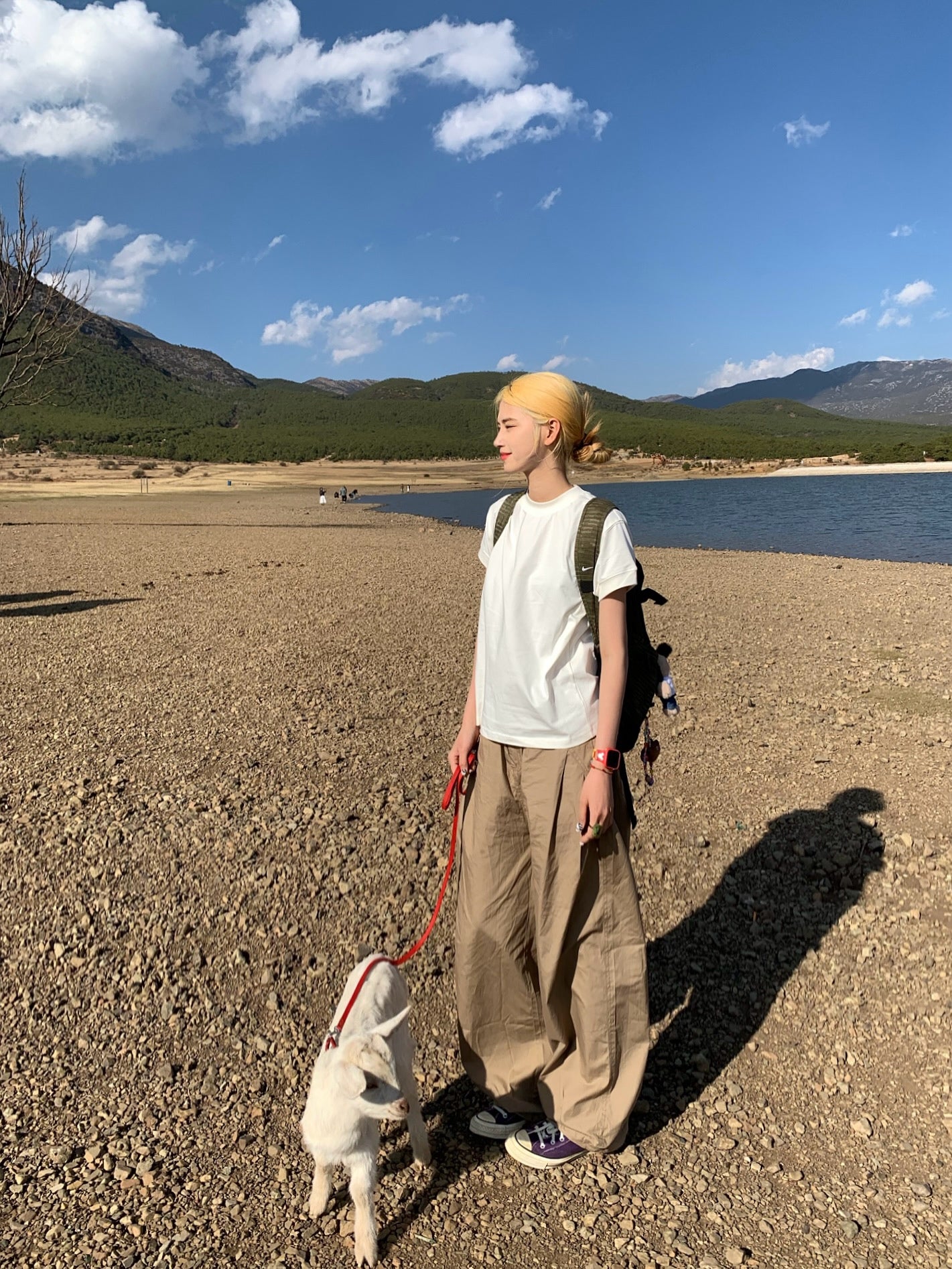 シンプル無地クルーネックTシャツ N459